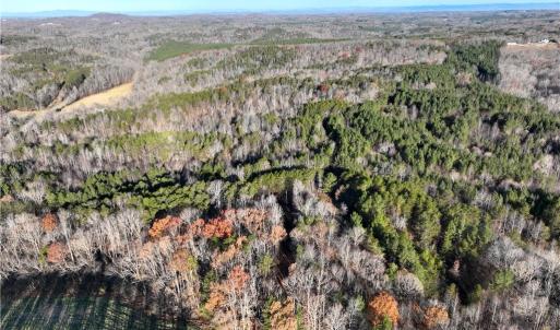 Photo #6 of Lot 4- 0 Bowen, Pinnacle, NC 38.9 acres