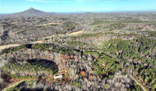 Photo #13 of Lot 4- 0 Bowen, Pinnacle, NC 38.9 acres