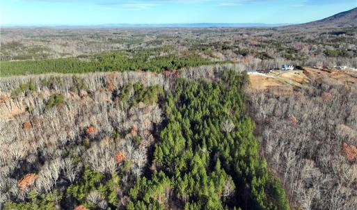 Photo #17 of Lot 4- 0 Bowen, Pinnacle, NC 38.9 acres
