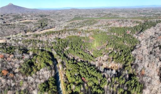 Photo #16 of Lot 4- 0 Bowen, Pinnacle, NC 38.9 acres