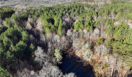 Photo #12 of Lot 4- 0 Bowen, Pinnacle, NC 38.9 acres