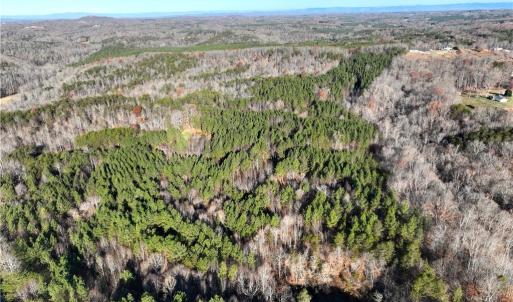 Photo #7 of Lot 4- 0 Bowen, Pinnacle, NC 38.9 acres