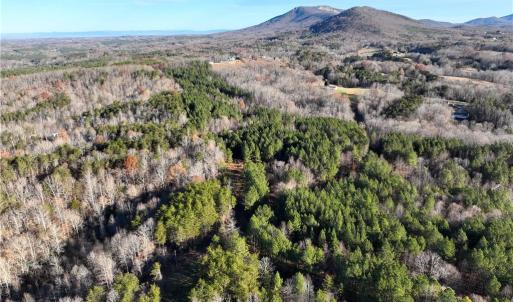 Photo #3 of Lot 4- 0 Bowen, Pinnacle, NC 38.9 acres