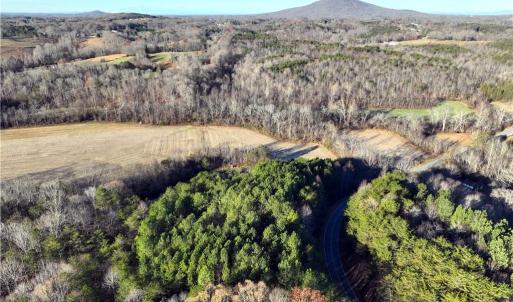 Photo #5 of Lot 4- 0 Bowen, Pinnacle, NC 38.9 acres