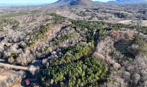 Photo #9 of Lot 4- 0 Bowen, Pinnacle, NC 38.9 acres