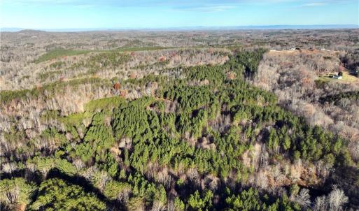 Photo #10 of Lot 4- 0 Bowen, Pinnacle, NC 38.9 acres