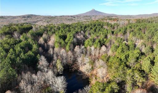 Photo #4 of Lot 4- 0 Bowen, Pinnacle, NC 38.9 acres