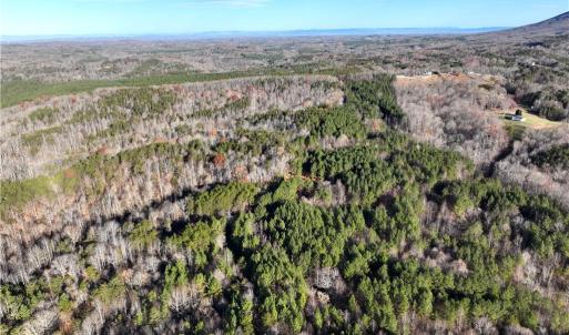 Photo #8 of Lot 4- 0 Bowen, Pinnacle, NC 38.9 acres