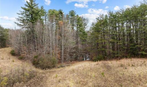 Photo #3 of 9 Warren, Kernersville, NC 11.3 acres