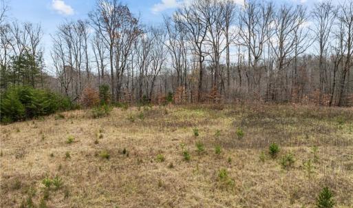 Photo #8 of 9 Warren, Kernersville, NC 11.3 acres