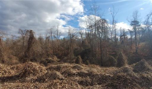 Photo #9 of US Highway 601, Mocksville, NC 14.7 acres