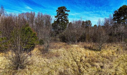 Photo #8 of 144 Brown, Lexington, NC 0.9 acres