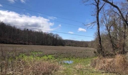 Photo #5 of River Ridge, Pfafftown, NC 20.4 acres