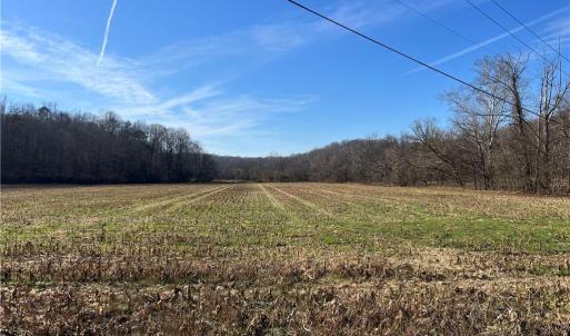 Photo #6 of River Ridge, Pfafftown, NC 20.4 acres