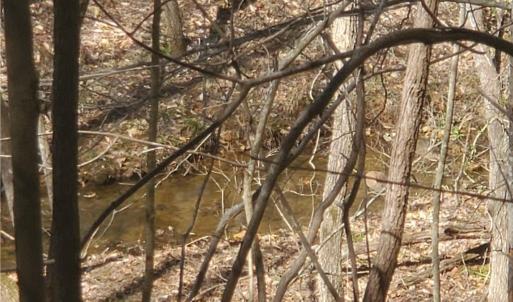 Photo #6 of 1969 Mulberry Academy, Franklinville, NC 15.7 acres