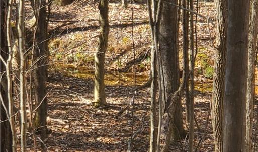 Photo #12 of 1969 Mulberry Academy, Franklinville, NC 15.7 acres