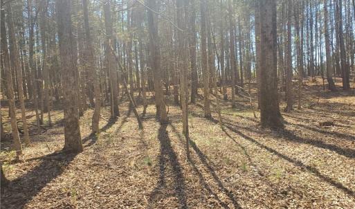 Photo #3 of 1969 Mulberry Academy, Franklinville, NC 15.7 acres