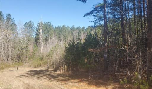 Photo #1 of 1969 Mulberry Academy, Franklinville, NC 15.7 acres