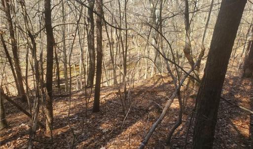 Photo #5 of 1969 Mulberry Academy, Franklinville, NC 15.7 acres