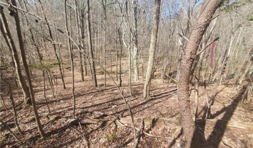 Photo #10 of 1969 Mulberry Academy, Franklinville, NC 15.7 acres