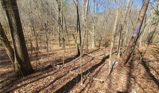 Photo #11 of 1969 Mulberry Academy, Franklinville, NC 15.7 acres