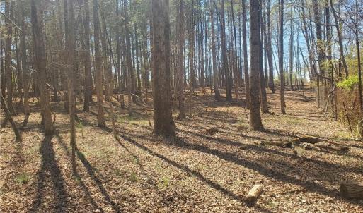 Photo #4 of 1969 Mulberry Academy, Franklinville, NC 15.7 acres