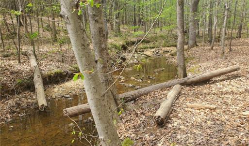 Photo #2 of 1969 Mulberry Academy, Franklinville, NC 15.7 acres