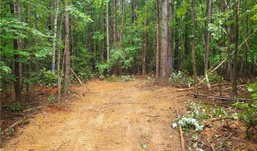 Photo #24 of 1969 Mulberry Academy, Franklinville, NC 15.7 acres