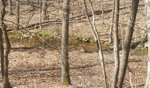 Photo #8 of 1969 Mulberry Academy, Franklinville, NC 15.7 acres
