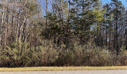 Photo #3 of New Cut, Lexington, NC 13.8 acres