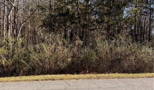 Photo #4 of New Cut, Lexington, NC 13.8 acres