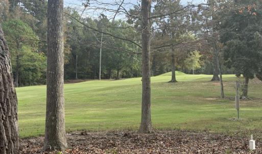 Golf Course View