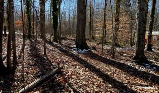 Photo #2 of 7209 Prentiss, Greensboro, NC 0.6 acres