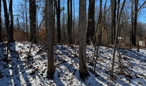 Photo #3 of 7209 Prentiss, Greensboro, NC 0.6 acres
