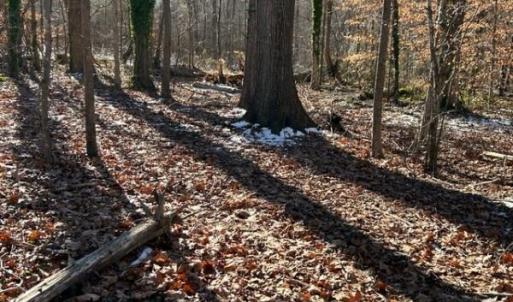 Photo #1 of 7209 Prentiss, Greensboro, NC 0.6 acres