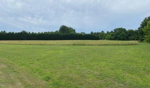 Photo #5 of 4524 Millstone, Burlington, NC 6.1 acres