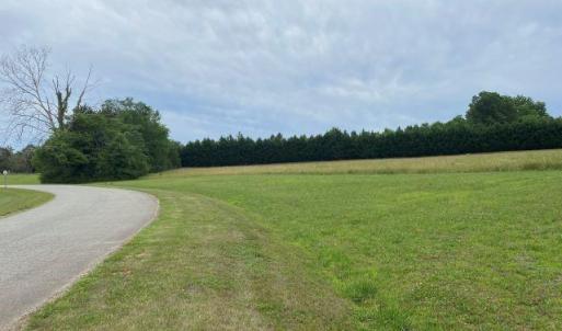 Photo #4 of 4524 Millstone, Burlington, NC 6.1 acres