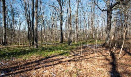 Photo #12 of 230, 240 Dilworth, High Point, NC 13.0 acres