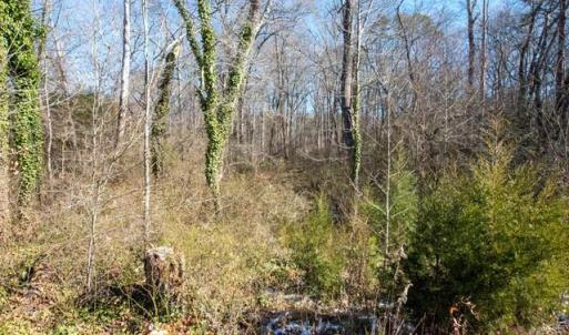Photo #26 of 230, 240 Dilworth, High Point, NC 13.0 acres