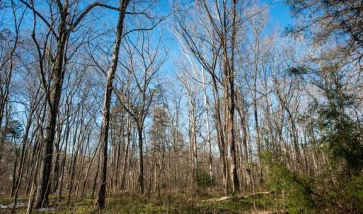 Photo #11 of 230, 240 Dilworth, High Point, NC 13.0 acres