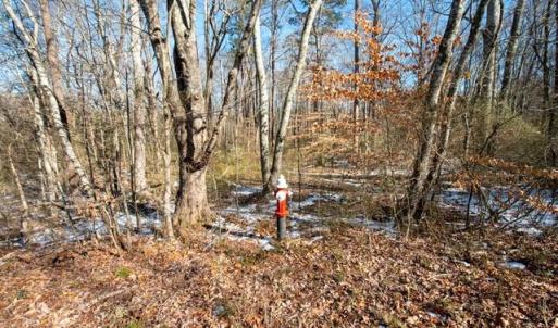 Photo #25 of 230, 240 Dilworth, High Point, NC 13.0 acres