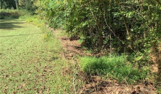 Photo #6 of 8774 Bame, Colfax, NC 5.0 acres
