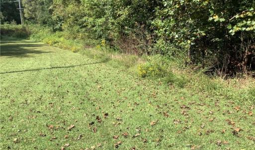 Photo #3 of 8774 Bame, Colfax, NC 5.0 acres