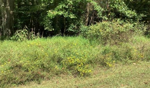Photo #5 of 8774 Bame, Colfax, NC 5.0 acres
