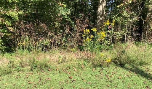 Photo #4 of 8774 Bame, Colfax, NC 5.0 acres