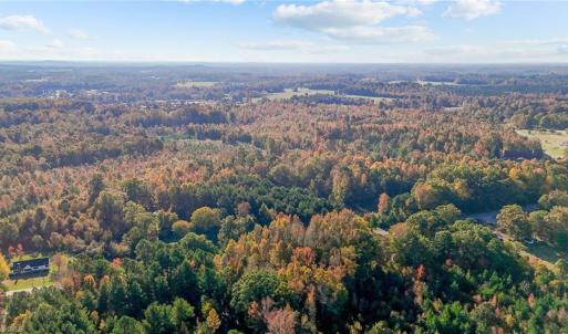 Photo #6 of 7808 NC Highway 49, Snow Camp, NC 45.1 acres