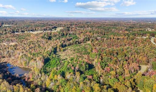 Photo #13 of 7808 NC Highway 49, Snow Camp, NC 45.1 acres