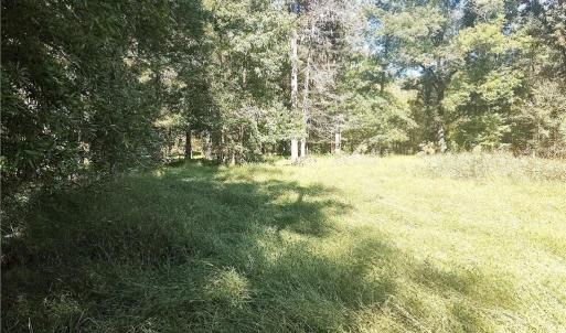Photo #17 of 7808 NC Highway 49, Snow Camp, NC 45.1 acres