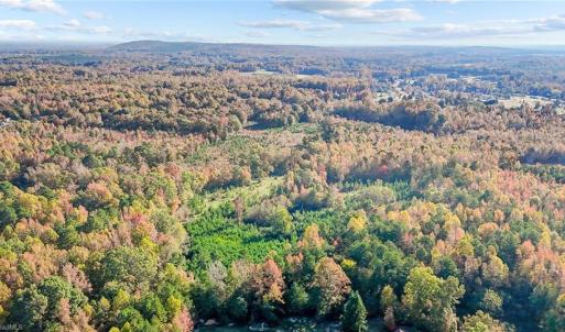Photo #16 of 7808 NC Highway 49, Snow Camp, NC 45.1 acres