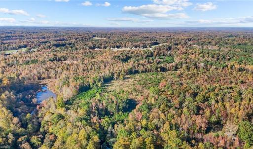 Photo #14 of 7808 NC Highway 49, Snow Camp, NC 45.1 acres